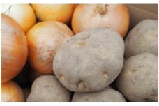 じゃがいも(きたあかり)玉ねぎセット 約10kg（網走産） 【 ふるさと納税 人気 おすすめ ランキング じゃがいも ジャガイモ いも きたあかり 玉ねぎ タマネギ 玉葱 たまねぎ 野菜 セット オホーツク 北海道 網走市 送料無料 】 ABP001