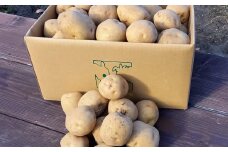 じゃがいも（きたあかり）10kg（網走産）【 ふるさと納税 人気 おすすめ ランキング じゃがいも ジャガイモ いも 芋 きたあかり 10kg 野菜 オホーツク 北海道 網走市 送料無料 】 ABP002
