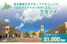 東京農業大学オホーツクキャンパス生協食堂クリオネで利用できる「学食マネー」 21,000円分 【 ふるさと納税 人気 おすすめ ランキング 学食 大学 東京農業大学 東農大 東京農業 オホーツク キャンパス クーポン 券 学生 北海道 網走市 】 ABBF005