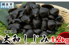 網走湖産 天然大粒 大和しじみ 1.2kg ※着日指定不可 【 ふるさと納税 人気 おすすめ ランキング しじみ シジミ 蜆 大和しじみ 貝 魚貝類 網走湖産 砂抜き済 冷凍 味噌汁 大粒 天然 北海道 網走市 送料無料 】 ABX072