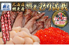 全3回 定期便 網走彩り満載（3か月連続） 【 ふるさと納税 人気 おすすめ ランキング いくら醤油漬 鮭いくら ホタテ 帆立 ほたて ほたて貝柱 貝柱 ホタテ刺身 刺身 帆立刺身 冷凍ホタテ ほっけ ホッケ 干物 一夜干し 開き 魚 北海道産 オホーツク 北海道 網走市 送料無料 】ABB147