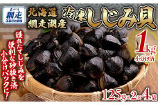 網走湖産冷凍しじみ貝小分け済み1kg（125ｇ×2）×4袋 【 ふるさと納税 人気 おすすめ ランキング しじみ シジミ しじみ貝 蜆 貝 シジミ汁 1kg 小分け 冷凍 網走湖 北海道産 新鮮 オホーツク 北海道 網走市 送料無料  】ABB146
