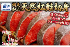 天然 紅鮭切り身（半身分　2切れ×5～6パック） 【 ふるさと納税 人気 おすすめ ランキング 紅鮭 シャケ  切り身 真空パック 長期保存 おいしい 大容量 北海道 網走市 送料無料 】ABB141