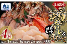 3種の一夜干し＆ほたて オホーツク晩酌セット 【 ふるさと納税 人気 おすすめ ランキング ほっけ ホッケ にしん 鰊 サクラマス 桜マス 鱒 桜ます さくら鱒 干物 一夜干し ホタテ 帆立 ほたて ほたて貝柱 貝柱 ホタテ貝柱 帆立貝柱 ホタテ刺身 セット ギフト 贈答 贈り物 北海道産 お手軽 簡単 冷凍 絶品 オホーツク 北海道 網走市 送料無料 】 ABE093
