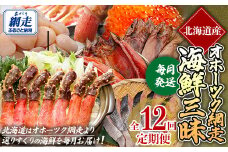 毎月お届け（全12回） オホーツク網走 海鮮三昧定期便 【 ふるさと納税 人気 おすすめ ランキング いくら 秋鮭粕漬 スワイガニポーション ほっけ ほたて 秋鮭西京漬 にしん一夜干し 冷凍しじみ 桜ます タラバガニポーション ズワイガニ爪ポーション オホーツク 北海道 網走市 送料無料 】ABE107 