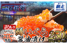 【訳あり】かにや特製鱒いくら醤油漬け1箱250g化粧箱入り【 ふるさと納税 人気 おすすめ ランキング いくら 鱒いくら 鱒イクラ ますいくら ますイクラ ます マス マスイクラ 醤油漬 いくら醤油 いくら醤油漬け ギフト 贈答 贈り物 冷凍 新鮮 かにや オホーツク 北海道 網走市 送料無料 】 ABAO108