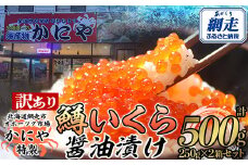 【訳あり】かにや特製 鱒いくら醤油漬け 合計500gセット【 ふるさと納税 人気 おすすめ ランキング いくら 鱒いくら 鱒イクラ ますいくら ますイクラ ます マス マスイクラ 醤油漬 いくら醤油 いくら醤油漬け ギフト 贈答 贈り物 冷凍 新鮮 セット かにや オホーツク 北海道 網走市 送料無料 】 ABAO106