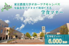 東京農業大学オホーツクキャンパス生協食堂クリオネで利用できる「学食マネー」 6,000円分 【 ふるさと納税 人気 おすすめ ランキング 学食 大学 東京農業大学 東農大 東京農業 オホーツク キャンパス クーポン 券 学生 北海道 網走市 】 ABBF002