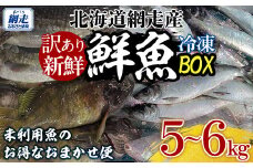 【訳あり】網走産冷凍鮮魚BOX～未利用魚の有効活用（漁業生産者応援企画）～【 ふるさと納税 人気 おすすめ ランキング 水たこ やなぎたこ 真たら すけそうたら にしん かれい しじみ ほっけ そい類 ほたて さけ 豪かに オホーツク 鮮魚 セット 詰合せ 生産者応援 北海道 網走市 送料無料 】 ABAE011