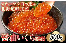 【2024年新物】北海道網走産醤油いくら（鮭卵）500g 【 ふるさと納税 人気 おすすめ ランキング いくら イクラ 醤油漬 醤油漬け いくら醤油 いくら醤油漬け イクラ醤油漬け いくら丼 イクラ丼 海鮮丼 寿司 500g 冷凍 網走産 オホーツク 北海道 網走市 送料無料 】 ABAE1007