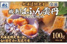 【先行予約】北海道網走市が誇る 蝦夷ばふん雲丹（2025年8月1日より順次発送） 【 ふるさと納税 人気 おすすめ ランキング うに ウニ 雲丹 蝦夷ばふん雲丹 赤雲丹  冷凍 魚介 オホーツク 北海道 網走市 送料無料 】 ABJ021