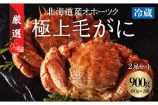 今だけ冷蔵配送！オホーツク網走の流氷明け浜ゆで毛ガニ2尾(1尾約450g) 【 ふるさと納税 人気 おすすめ ランキング 毛蟹 毛ガニ 毛がに かに味噌 カニみそ 浜茹で 浜ゆで 冷蔵 オホーツク 海鮮 流氷明け 北海道 網走市 送料無料 】 ABC032