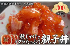 秋じゃけとイクラたっぷり親子丼100g×3 【 ふるさと納税 人気 おすすめ ランキング 鮭 さけ サケ いくら イクラ 鮭といくら 親子丼 海鮮 新鮮 セット オホーツク 北海道 網走市 送料無料 】 ABC036