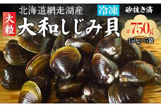 網走湖産「大和しじみ貝」750g（150g×5） 【 ふるさと納税 人気 おすすめ ランキング しじみ シジミ 貝 しじみ貝 シジミ貝 蜆 シジミ汁 大和しじみ貝 網走産 オホーツク 北海道 網走市 送料無料  】 ABC035