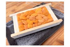 今が旬の網走産バフン雲丹1折50g冷蔵便届け 【 ふるさと納税 人気 おすすめ ランキング バフン雲丹 うに バフンウニ ウニ 雲丹 ウニ丼 1折 50g 冷蔵 海鮮丼 海鮮 寿司 刺身 贅沢 オホーツク 北海道 網走市 送料無料 】 ABAO112