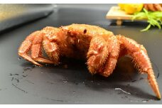 流氷海明け・活〆茹で毛蟹1尾約800g冷蔵便届け 【 ふるさと納税 人気 おすすめ ランキング 毛がに 毛ガニ 毛蟹 カニ ガニ 蟹 かに ケガニ 冷蔵 800g 1尾 オホーツク海産 流氷明け オホーツク 北海道 網走市 送料無料 】 ABAO110