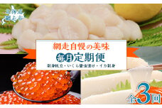 【毎月定期便】網走自慢の美味定期便(刺身帆立・いくら醤油漬け・イカ刺身)全3回 【ふるさと納税 人気 おすすめ ランキング ホタテ ほたて 帆立 いくら イクラ いくら醤油漬 イクラ醤油漬 いか刺身 イカ刺し イカ刺身 定期便 北海道 網走市 送料無料】 ABAO089