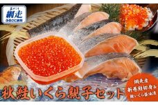 【先行予約】網走産 秋鮭いくら 親子セット（2025年10月以降発送）【 ふるさと納税 人気 おすすめ 鮭 切身 シャケ 鮭切身 サケ切身 さけ切身 天然 いくら イクラ 醤油漬 醤油漬け いくら醤油 いくら醤油漬け イクラ醤油漬け いくら丼 イクラ丼 海鮮 セット 冷凍 オホーツク 北海道 網走市 送料無料 】 ABBI003
