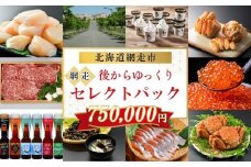 あとからゆっくり、網走セレクトパック 750,000円 【 ふるさと納税 人気 おすすめ ランキング あとから チョイス 選べる ゆっくり かに ほたて いくら しじみ ビール ズワイガニ タラバガニ オホーツク ギフト 贈り物 贈答 北海道 網走市 送料無料 】 ABBG008