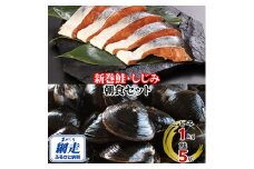 朝食セット 天然新巻鮭切り身 5切と網走湖のしじみ貝 1kg【 ふるさと納税 人気 おすすめ ランキング 新巻鮭 切り身 切身 鮭 鮭切身 サケ さけ しじみ シジミ 蜆 貝 しじみ貝 シジミ貝 セット 詰め合わせ 自宅用 ギフト 贈答 贈り物 海鮮 オホーツク 北海道 網走市 送料無料 】 ABE113