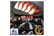朝食セット 天然紅鮭切り身 5切と網走湖のしじみ貝 1kg 【 ふるさと納税 人気 おすすめ ランキング 紅鮭 切り身 切身 鮭 鮭切身 サケ さけ しじみ シジミ 蜆 貝 しじみ貝 シジミ貝 セット 詰め合わせ 自宅用 ギフト 贈答 贈り物 海鮮 オホーツク 北海道 網走市 送料無料 】 ABE114