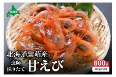 北海道留萌産　漁師採りたて甘えび400g×2箱
