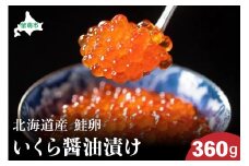 北海道産　いくら醤油漬け　360g　鮭卵　いくら　小分け可能　高級　魚卵　人気　鮭　おせち　魚介類  国産 秋鮭 イクラ 鮭 北海道産 北海道産いくら 鮭いくら いくら醤油漬け 海鮮 魚介類 魚介 海産物 ごはんのお供 冷凍 おかず おつまみ 加工食品 魚卵 おせち R002-036