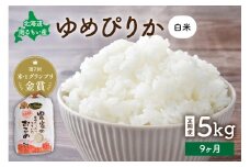 先行予約　【9ヵ月定期便】北海道南るもい産　ゆめぴりか(白米)5kg R011-036