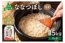 先行予約【9ヵ月定期便】北海道南るもい産【ななつぼし】(玄米)5kg R011-033