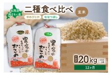 先行予約　【12ヵ月定期便】北海道南るもい産【ゆめぴりか･ななつぼし】(玄米)各10kg R011-063