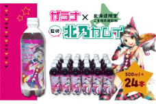 【ガラナ 500ml×24本】北乃カムイ　T057-002