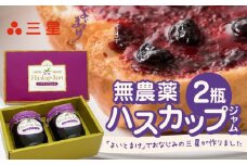【ハスカップジャム 2瓶】　T044-008