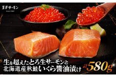 【王子サーモン】生を超えた「とろ生サーモン」と北海道産秋鮭 いくら醤油漬セット 計580g　T041-001