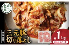 日本の米育ち平田牧場 三元豚切り落とし 500g×2パック（計1kg）　T036-004