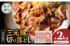 日本の米育ち平田牧場 三元豚切り落とし 500g×4パック（計2kg）　T036-005