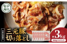 日本の米育ち平田牧場 三元豚切り落とし 500g×6パック（計3kg）　T036-006