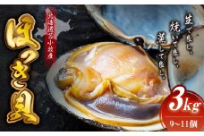 北海道苫小牧産　ほっき貝　3kg（9～11個）　T032-001