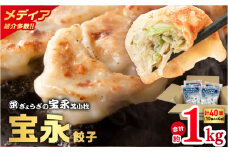 【ぎょうざの宝永】宝永餃子250g入（10個入）×4袋 合計1kg　T004-003