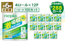 【全6回定期便】紙のまち苫小牧 王子ネピア 激吸収 キッチンタオル 100（48ロール×6回）　T001-T02