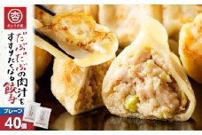 だぶだぶの肉汁をすすりたくなる餃子 40個　T060-001