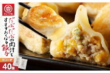 だぶだぶの肉汁をすすりたくなる餃子ちぃーず 40個　T060-003