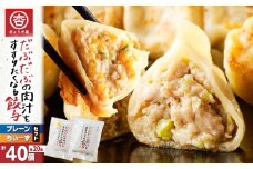 だぶだぶの肉汁をすすりたくなる餃子と餃子ちぃーずセット　T060-005