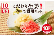 【10営業日以内に発送】大和屋こだわり 生姜お徳用セット　T055-017