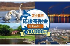 北海道苫小牧市応援寄附金（返礼品なし）10,000円　T000-001-03