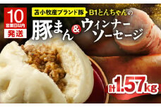 【10営業日以内に発送】B1とんちゃんの豚まん 9個、ウィンナーソーセージ 4袋セット　T010-002-03
