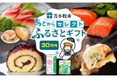 あとからセレクト【ふるさとギフト】30万円　T000-000-13