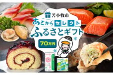 あとからセレクト【ふるさとギフト】70万円　T000-000-17