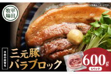 【平田牧場】三元豚バラブロック 600g　T036-015