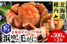 北海道オホーツク海産 浜ゆで毛がに　約500g×2尾
