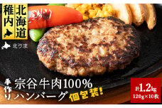 ＜業務用＞ 宗谷牛肉100% 手作りハンバーグ120g×10人前